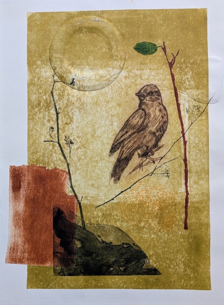 Sense títol. Gravat